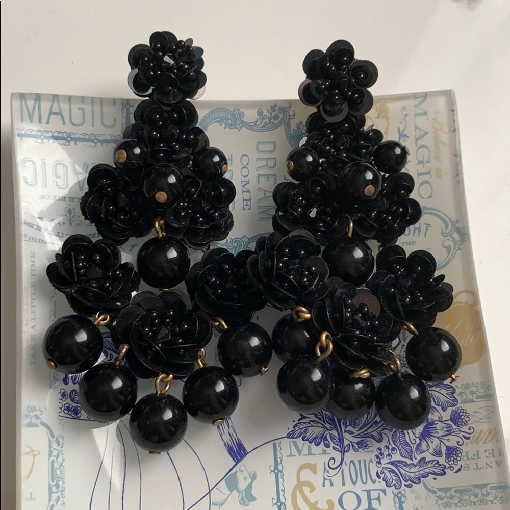 Beautiful J.Crew Earrings